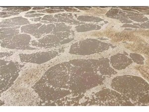 廢水處理中常用的氧化劑和還原劑有哪些？